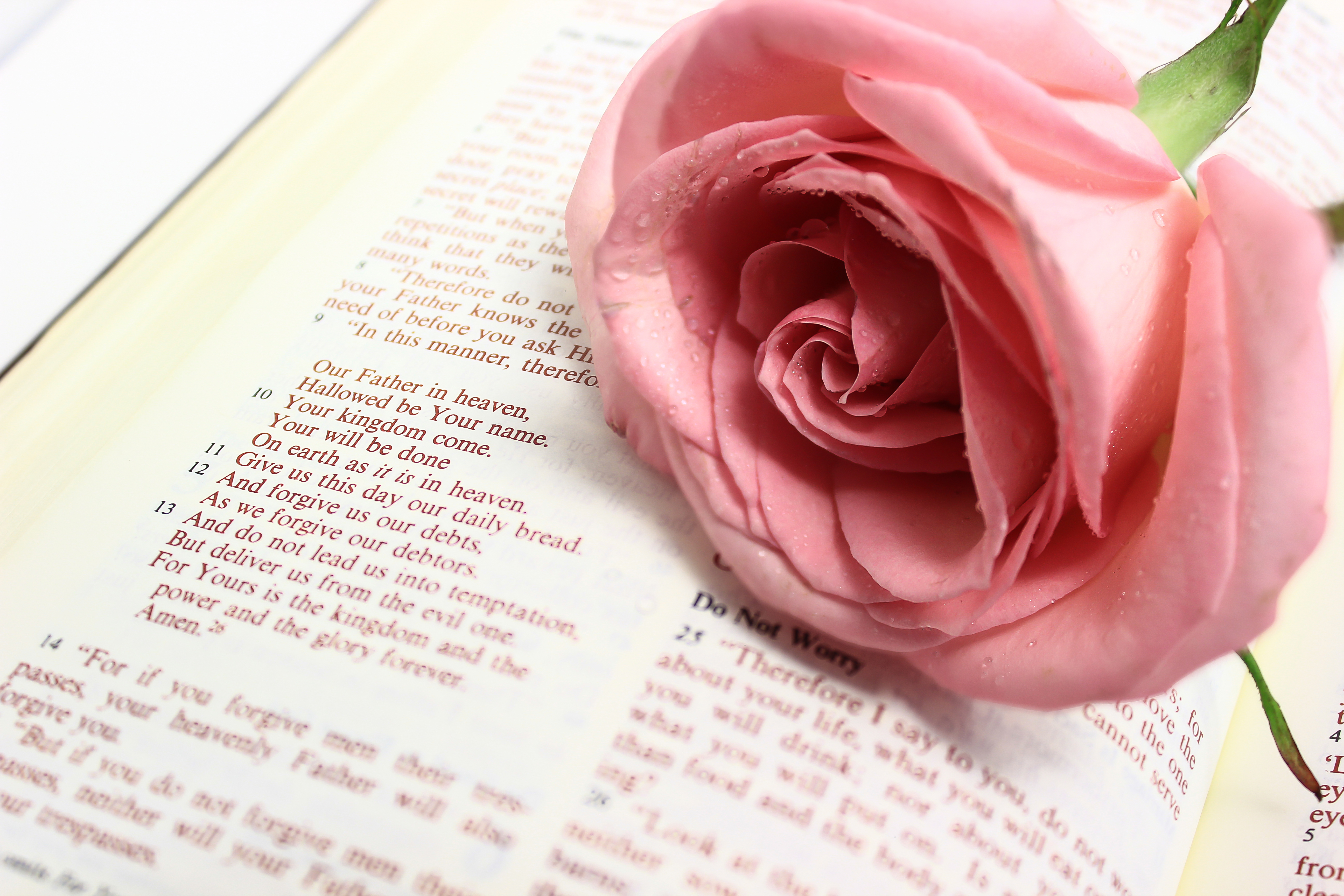 dreamstime_xxl_47641884