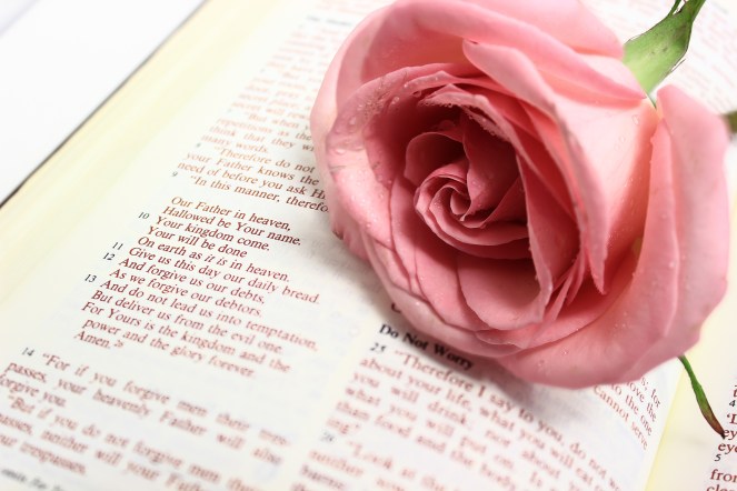 dreamstime_xxl_47641884